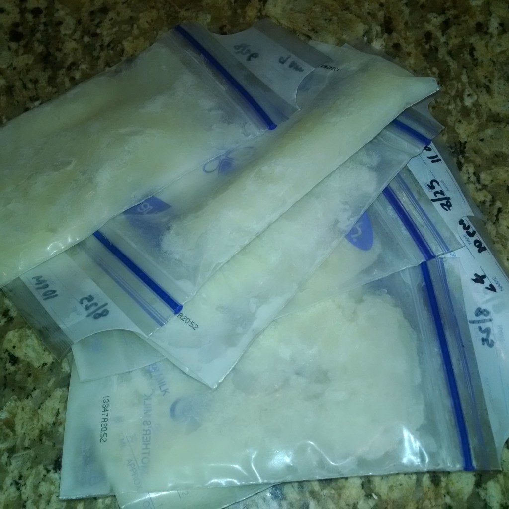 breastmilk storage bags frozen for air travel