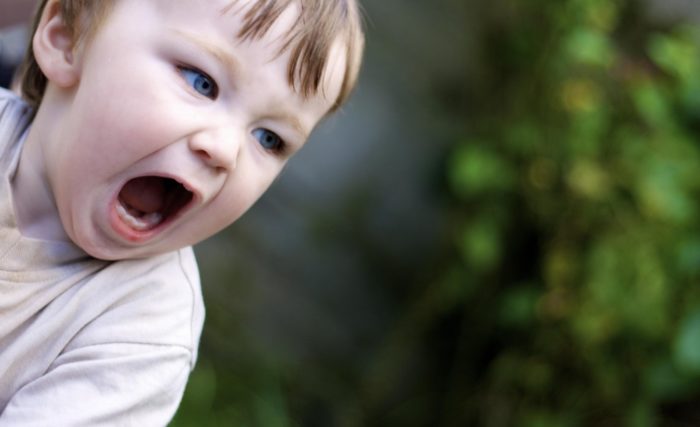 working mother and toddler tantrums