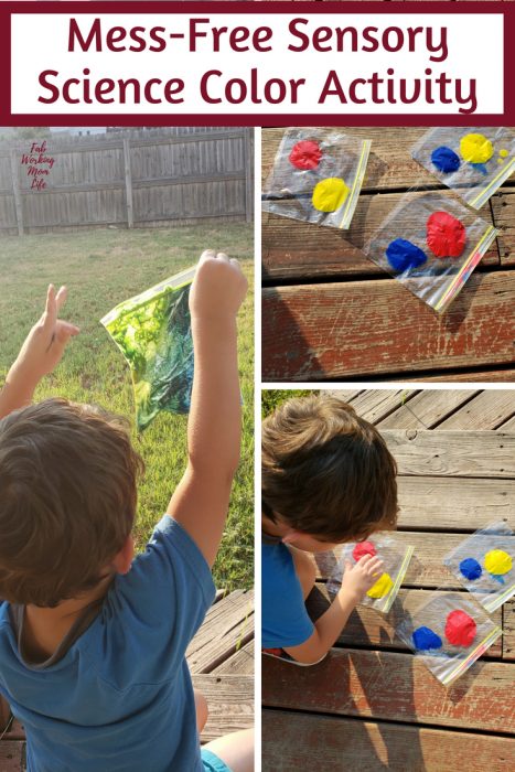 Mess-Free Sensory Science Color Activity