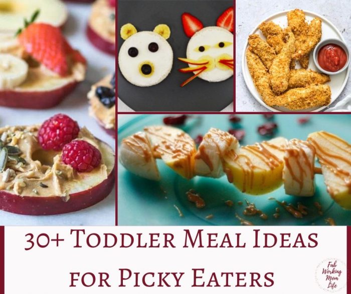 30+ Toddler Meal Ideas for Picky Eaters