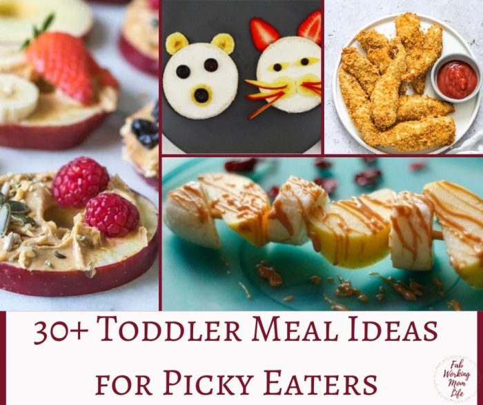 Easy Toddler Recipes