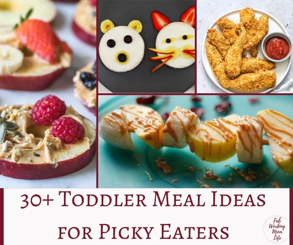 Toddler meals for Picky Eaters: 30+ quick and easy toddler recipes