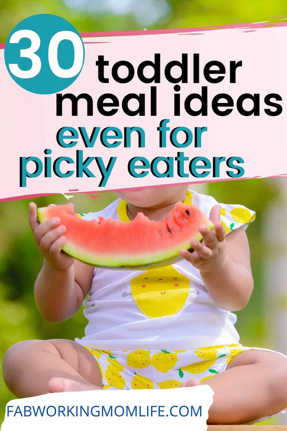 Toddler meals for Picky Eaters: 30+ quick and easy toddler recipes