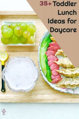 toddler daycare lunches