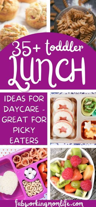 toddler lunch ideas for daycare
